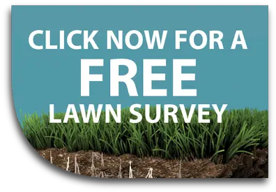  Premiership Lawncare Home Click Here Icon Png Lawn Png