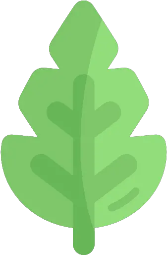  Leaf Free Nature Icons Clip Art Png Leaf Icon Vector