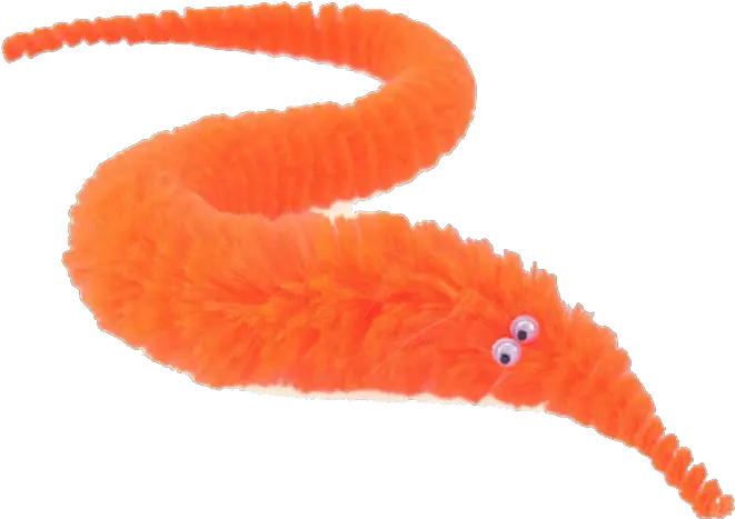  Drumboiravy Toy Worm On String Png Worm Transparent Background