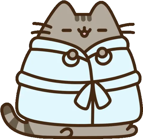  10 Facts About Pusheen Pusheen In A Robe Png Pusheen Transparent