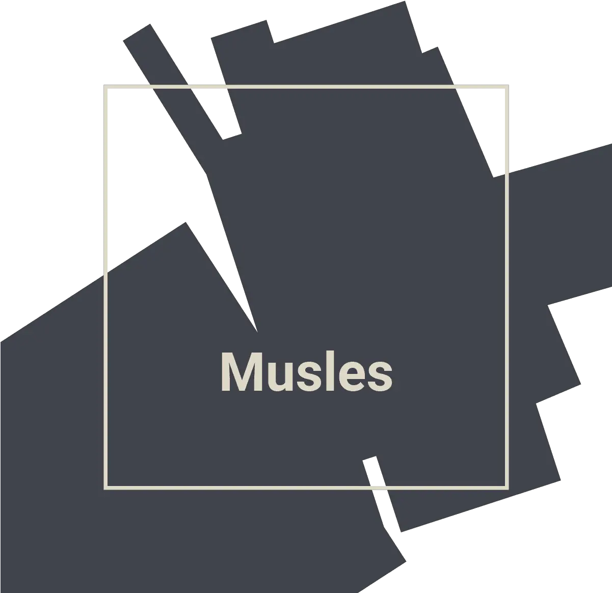  Musles Clothing Hoodie U2013 Media Store Stf Store Png Keemstar Transparent