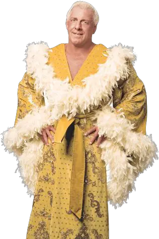  Wwe Le Hace Oferta A Ric Flair Para Que Este No Se Kimono Wwe Ric Flair Png Ric Flair Png