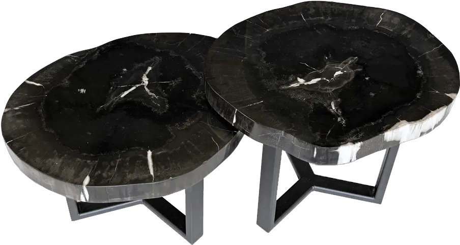  Petrified Wood Coffee Tables Unik Living Unique Tables Coffee Table Png End Table Png