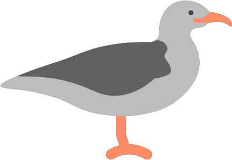  Seagull Icon Great Gull Png Seagull Icon