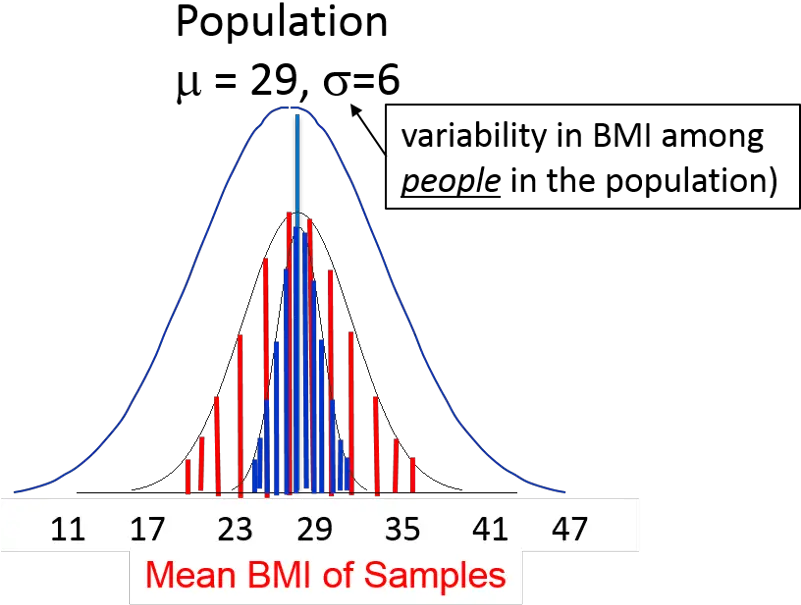  Variability In Means Obtained From A Sample Diagram Png Bell Curve Png