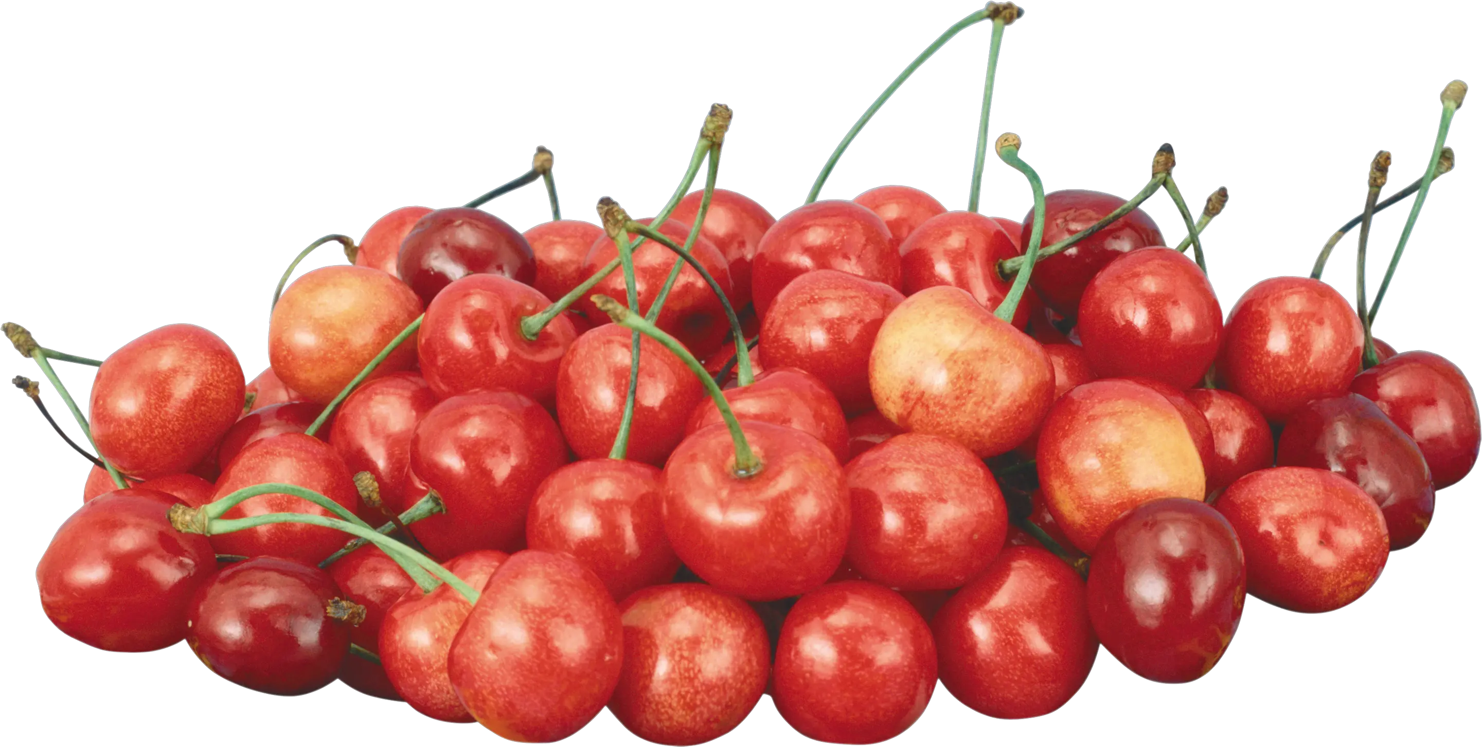  Download Cherries Png Image For Free Cherry Transparent Background