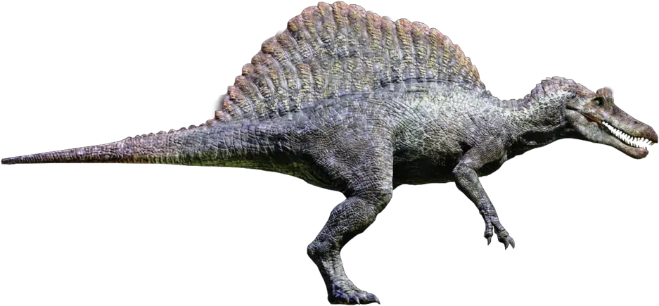  Download Hd Spinosaurus Transparent Png Spinosaurus From Jurassic Park 3 Jurassic Park Transparent