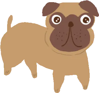  Dog Pug Sticker Dog Pug Whats Up Discover U0026 Share Gifs Cachorro Gif Animado Png Pug Icon