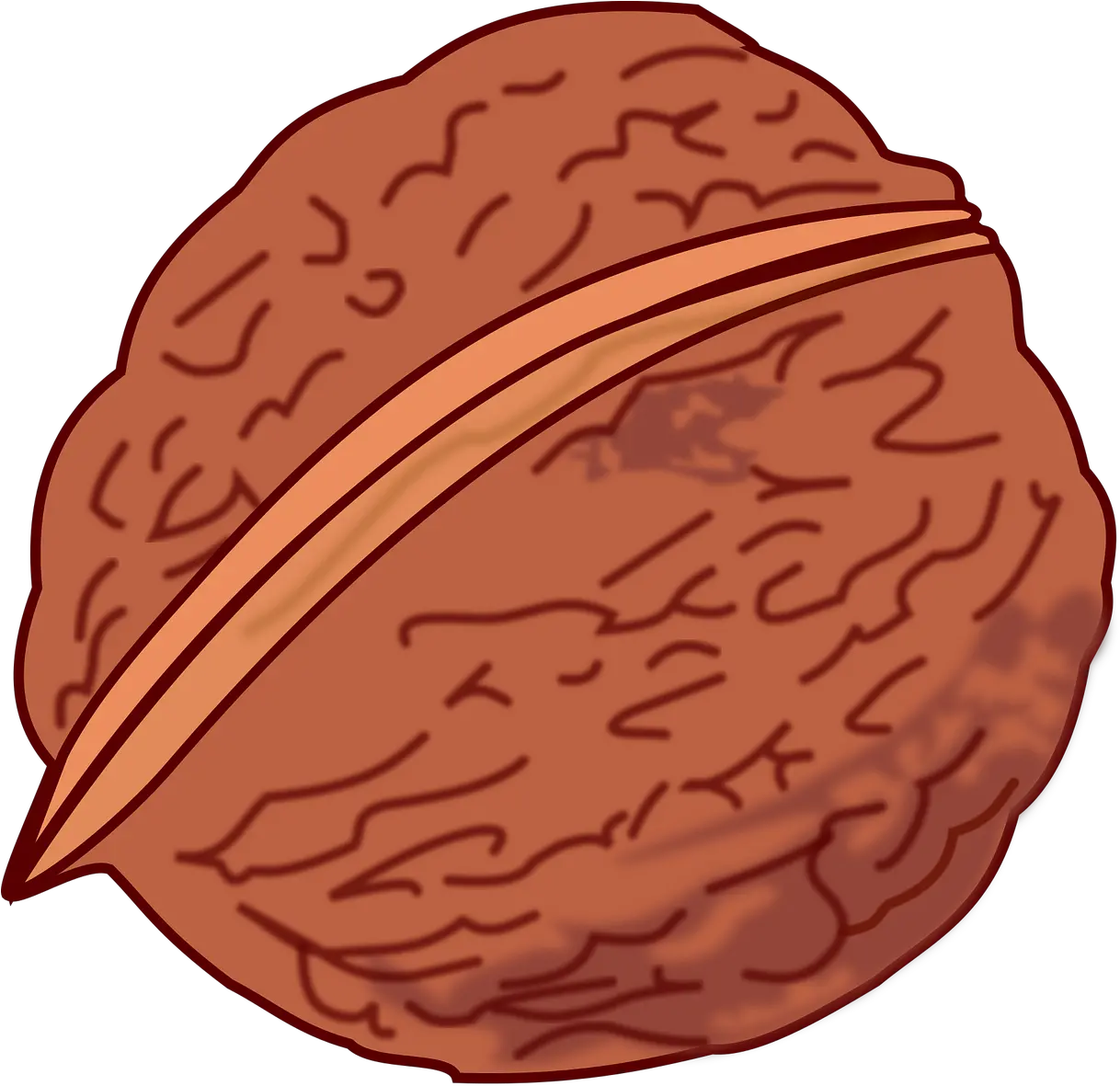  Nut Png Essen Foot Fruit Nut Walnut Walnut Nut Clipart Nut Clipart Nut Png