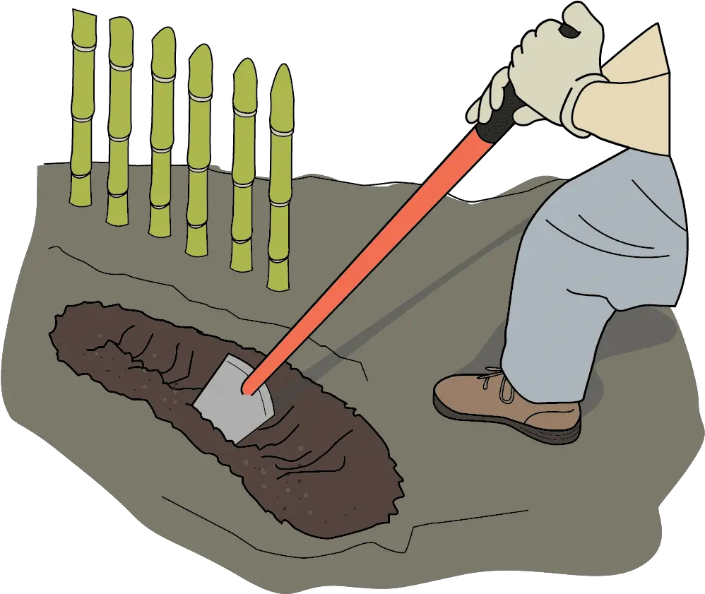  Download Hd Dig Trench With Shovel A Small Is Dug In Zanja Dibujo Png Shovel Transparent Background