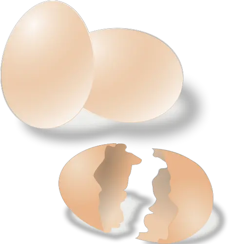  Broken And Whole Egg Shell Vector Drawing Free Svg Egg Shell Clip Art Png Cracked Egg Png