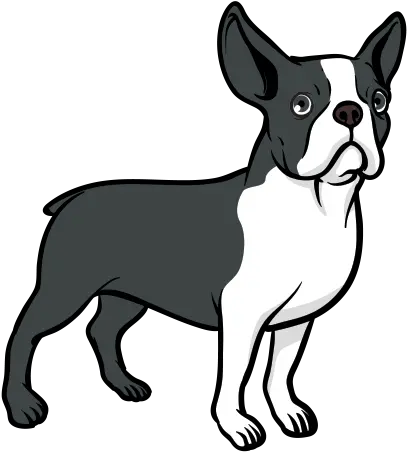  Printed Vinyl Dog Boston Terrier Dibujos De Perros De Bulldog Frances Png Boston Terrier Png