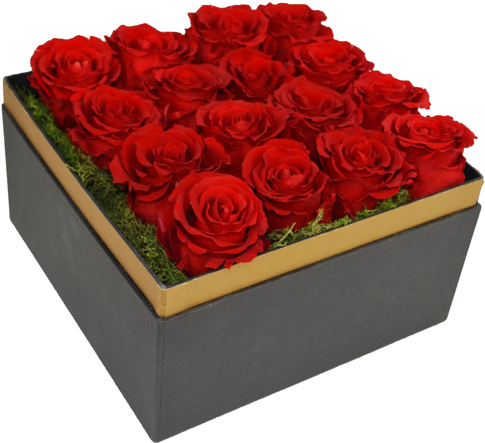  Beautifully Preserved Roses From Luxe Bloom Official Rose Floribunda Png Beauty And The Beast Rose Png