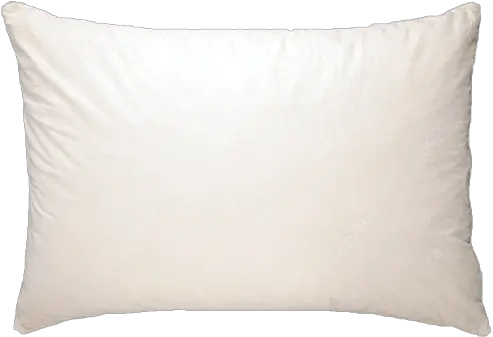  Homepage Cocomat Solid Png Body Pillow Png
