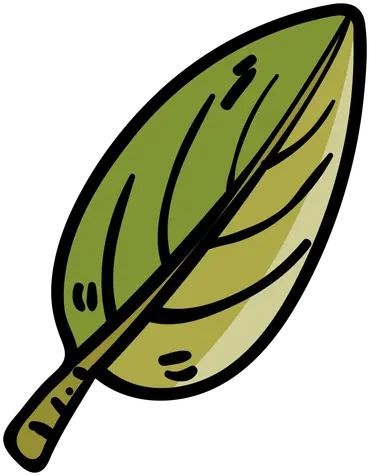  Png Tree Leaf Cartoon Icon Folha De Arvore Desenho Leaf Cartoon Png