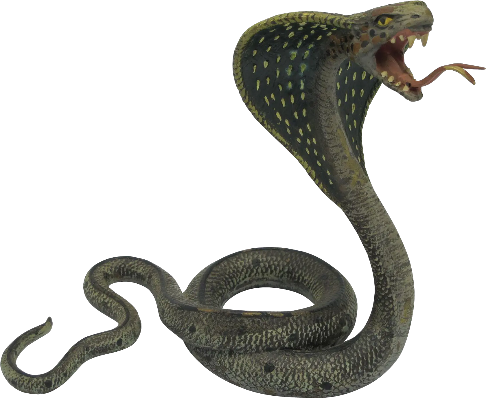  Download Black Mamba King Cobra Snakes Png Snake Transparent Background