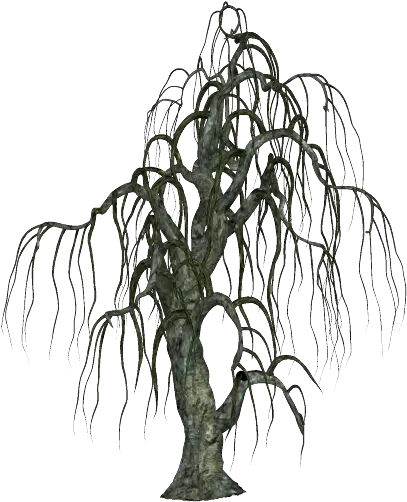  Halloween Spooky Tree 02 Halloween Spooky Trees Png Spooky Tree Png