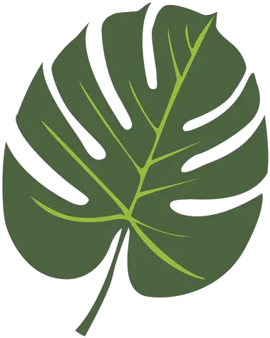  Tropical Palm Leaf Illustration Tropical Leaf Icon Png Tropical Leaf Png