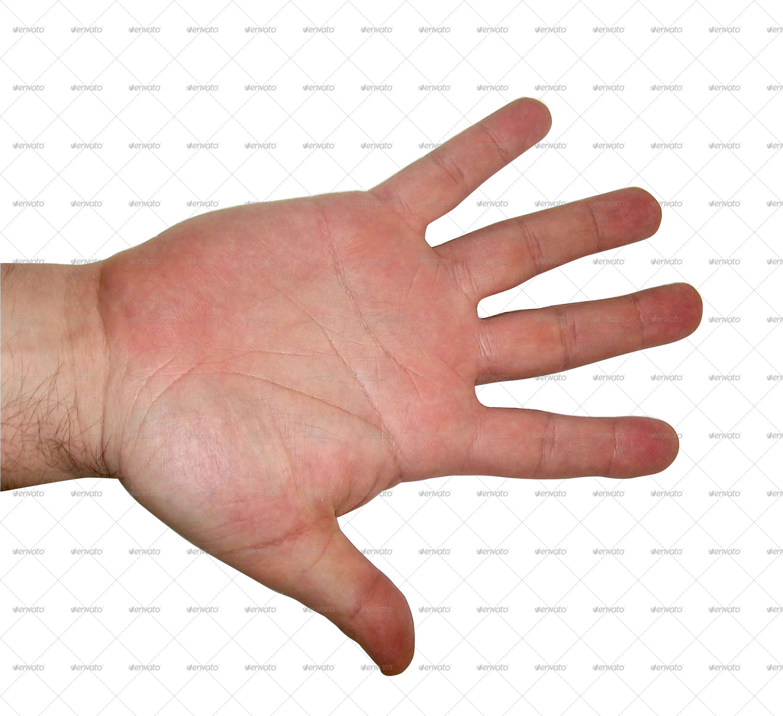  Download Human Hand Png Transparent Png Png Images Human Hands Transparent Skeleton Hand Png