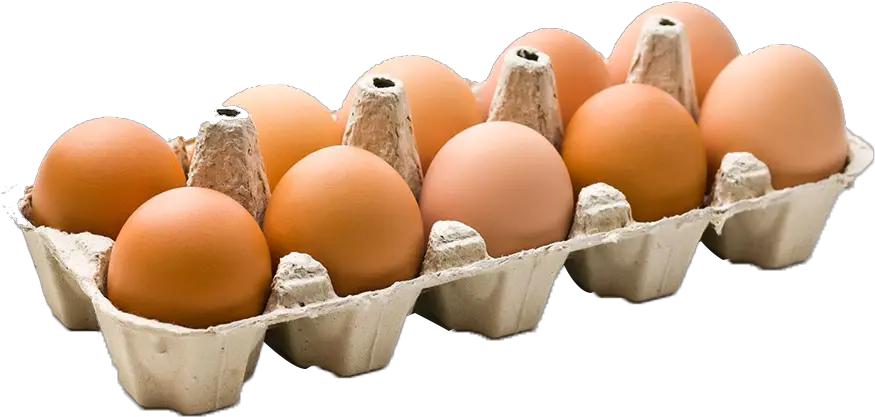  Download Thumb Image Transparent Background Pack Of Eggs Egg Carton Png Egg Transparent Background