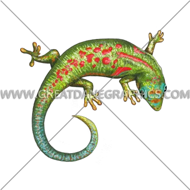  Lizard Curl Production Ready Artwork For T Shirt Printing Common Chameleon Png Lizard Transparent