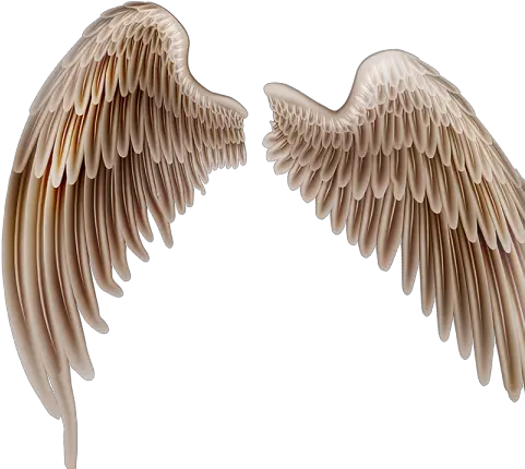  Golden Wings Png Images 2021 Full Hd Background U0026 Png Wings Photo Editing Background Devil Wings Png