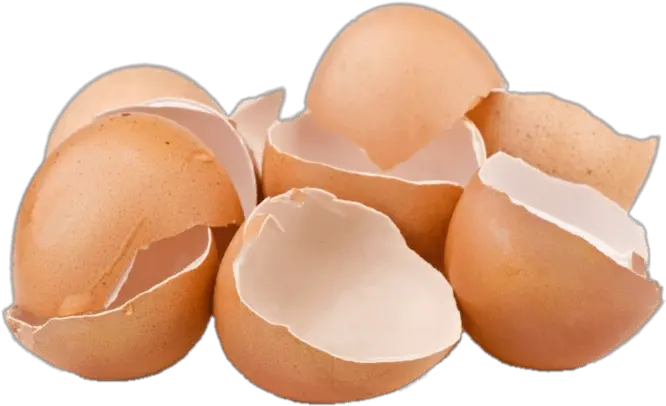  Cracked Eggshells Transparent Png Egg Shells Transparent Background Cracked Egg Png