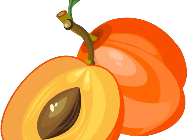  Peach Clipart Apricot Png Download Full Size Clipart Apricot Clipart Png Peaches Png