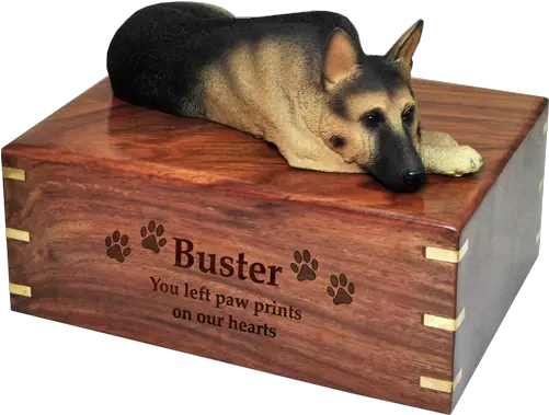  German Shepherd Laying Dog Breed Urns New Memorials Direct German Shepherd Dog Urns Png German Shepherd Png