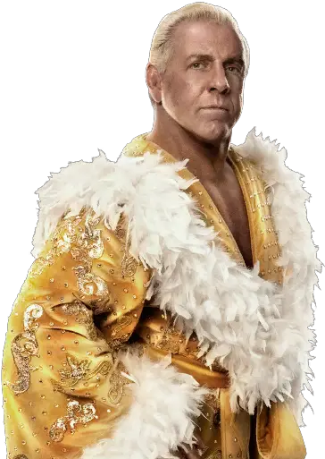  Renders Superstar Models Ric Flair Gold Robe Png Ric Flair Png