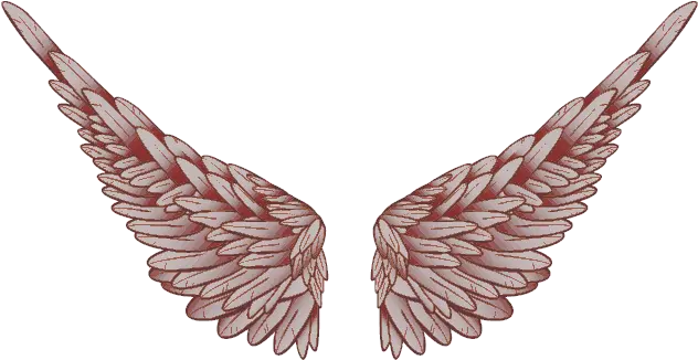  Download Baby Angel Wings Png Praying T Logo Full Parrot Angel Wings Logo