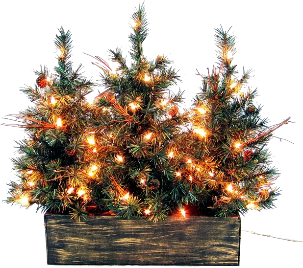  Christmas Outside Png Picture Mart Christmas Day Christmas Decorations Png