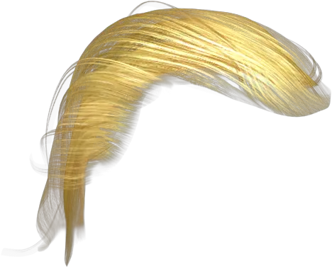  Yellow Hair Transparent U0026 Png Clipart Free Download Ywd Trump Hair Png Hair Png