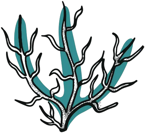  Ocean Stroke Seaweed Transparent Png U0026 Svg Vector File Automotive Decal Ocean Transparent