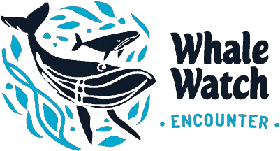  Tour Fraser Island In A Hummer Then Enjoy Half Day Of Whale Watching Logo Png Hummer Logos