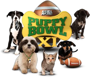  Top 10 Facts You Donu0027t Know About Puppy Bowl Pouted Puppy Bowl Transparent Png Dog Bowl Png