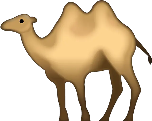  Camels Clipart File Camel Emoji Png Camel Transparent Background