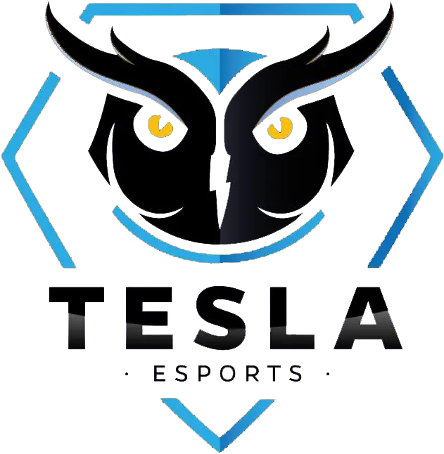  Tesla E Sports Leaguepedia League Of Legends Esports Wiki One Paper Lane Logo Png Tesla Logo Png