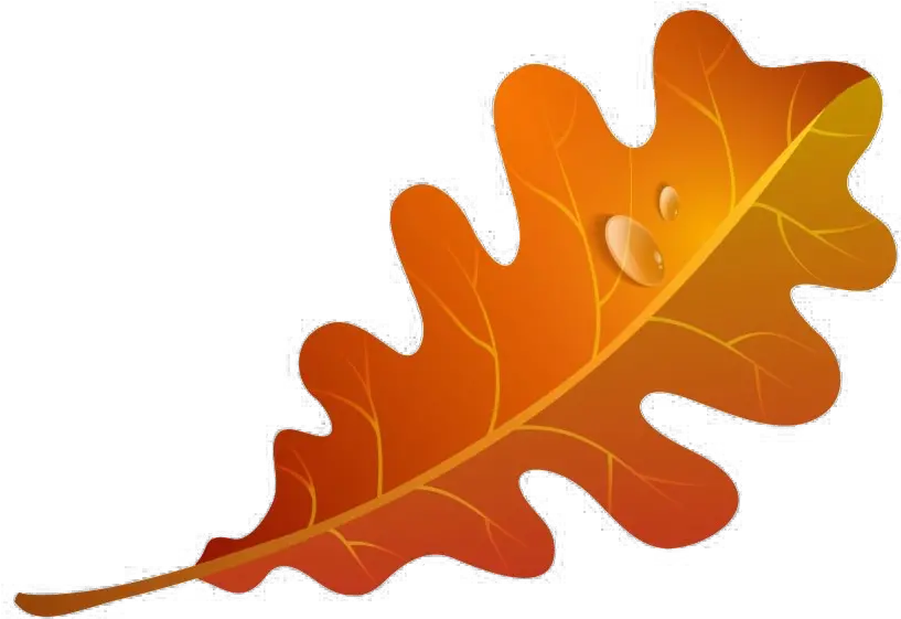  Fall Leaves Png Image Autumn Oak Leaf Clipart Falling Leaves Transparent Background