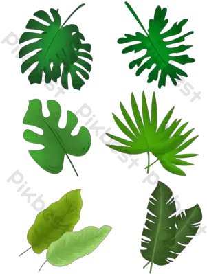  Collection Of Tropical Leaves Bundle Vector Graphic Element Decorative Png Tropical Leaves Png