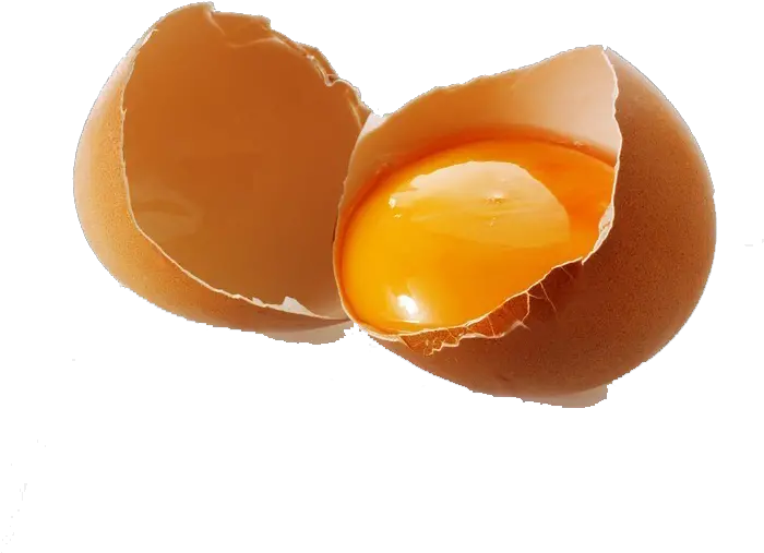  Egg Icon Cracked Egg Png Cracked Egg Png