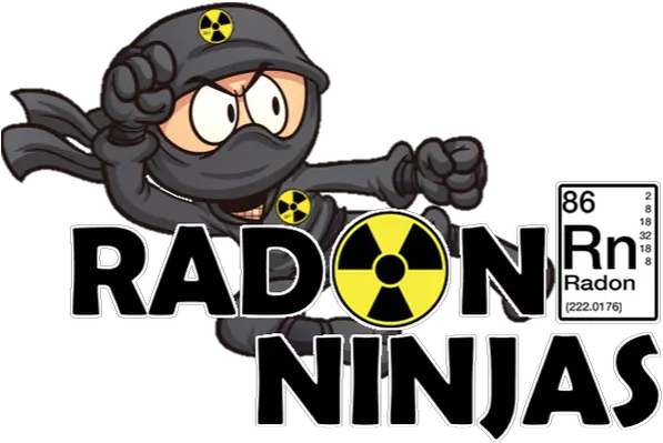  Radon Ninjas Home Cartoon Png Ninja Transparent