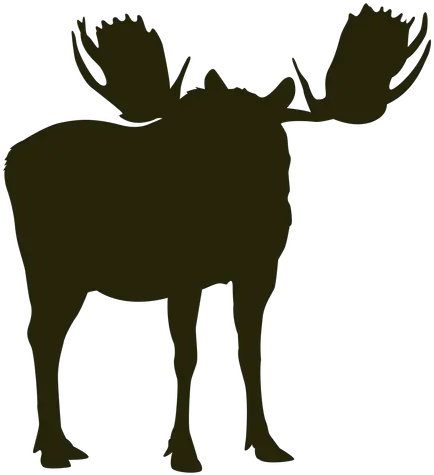  Hunting Moose Right Facing Standing Calm Transparent Png Caribou Moose Silhouette Png