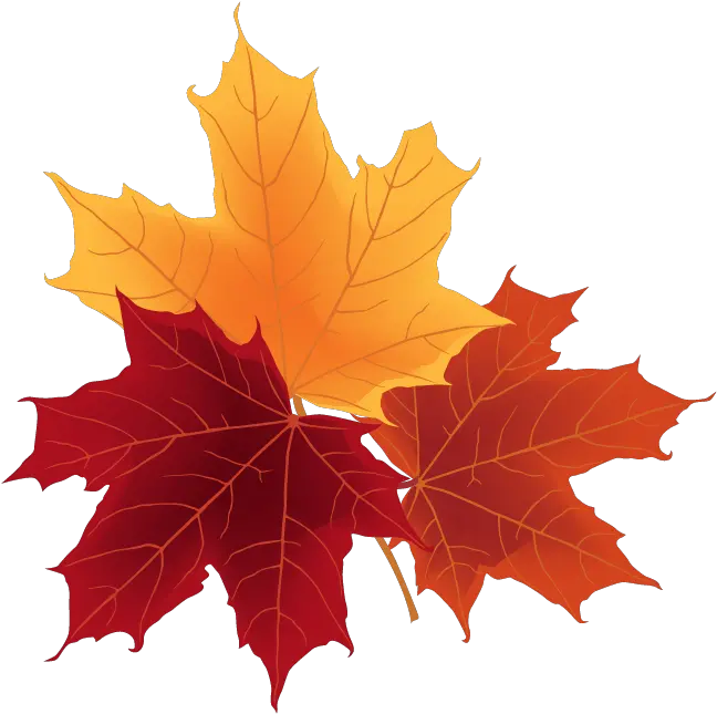  Free Png Autumn Leaves Png Autumn Leaves Autumn Leaves Png