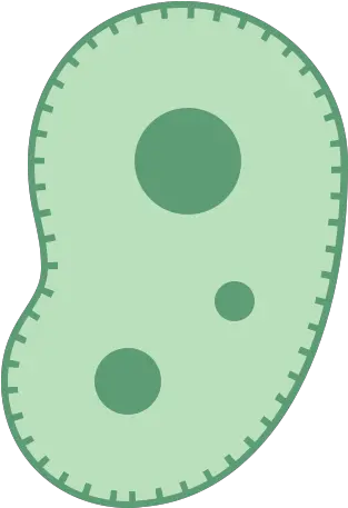  Bacteria Icon Free Download Png And Vector Microorganisms Png Bacteria Png