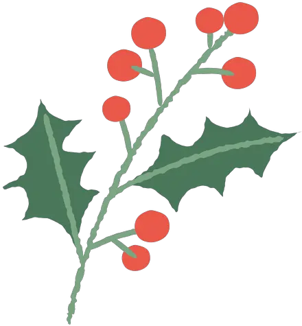  Mistletoe Branch Christmas Illustration Transparent Png Ramas De Navidad Png Mistletoe Transparent