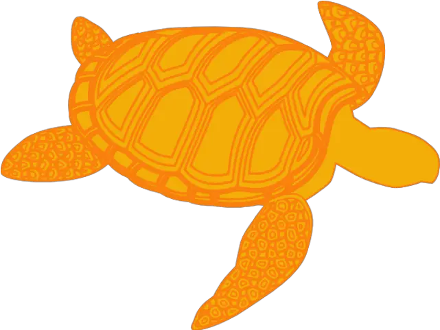  Sea Turtle Clipart Olive Ridley Gambar Kartun Kura Kura Silhouette Sea Turtle Clipart Png Ridley Png