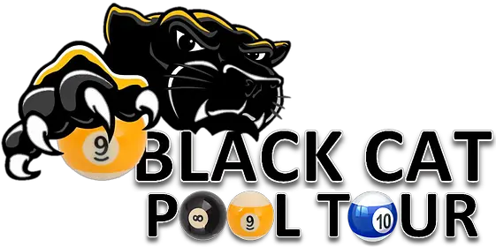  Black Cat Pool Tour Polo Clip Art Png Black Cat Logo