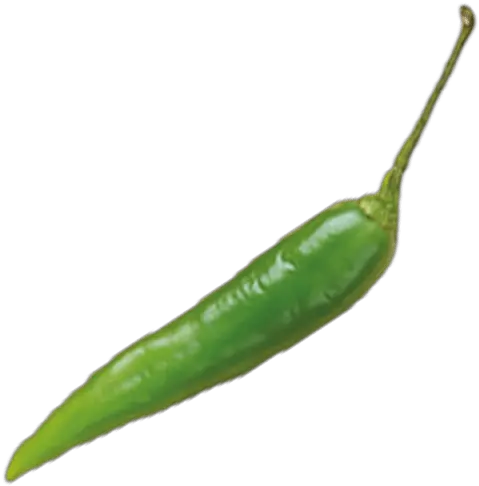  Download Long Green Chilli Birdu0027s Eye Chili Full Size Green Chili Png Chili Png