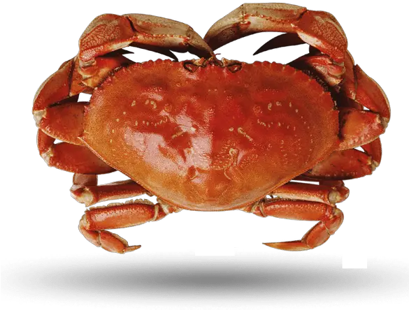  Crab Supreme Lobster Png Crab Legs Png